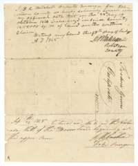 Deputy surveyor D. R. Mitchell's sworn statement that 14,105,000 square varas were surveyed for Frederick Grimes, with a 1838 entry on the Colorado.