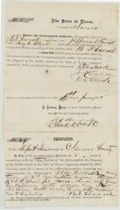 Homestead preemption affidavit of B. F. Carroll, sworn 21 January 1872, with his designation to Navarro County surveyor John W. Irvin for the land he occupied.
