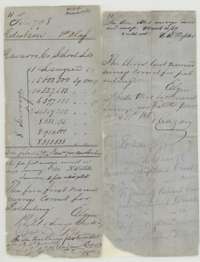 Older wrapper for the Navarro County school lands, listing the eight surveys by area, with notes on the patents.