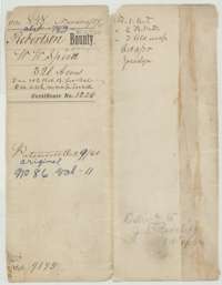 File jacket for W. W. Speed's 320 acres in Navarro County, Robertson Bounty, with the patent entry of 9 October 1860.