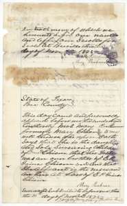 Affidavit of Mary Parchman, sworn at Beeville on 30 November 1875, that she is the niece and heir of E. P. Gaines Chism.