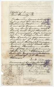 Affidavit of Louisa Chism, widow of James M. Chism, that her husband was brother of E. P. Gaines Chism, killed at Goliad in 1836.