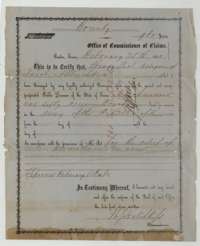 Bounty warrant No. 213 for 960 acres, issued at Austin on 25 February 1860 to Henry Teal, assignee of Jacob Allbrachet, for army service in the Republic of Texas.