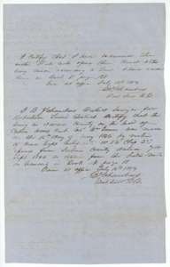 District surveyor B. J. Chambers's certificates of 13 and 14 July 1854 recording the Lee survey in Book V, page 199, and explaining the neighbouring Graves survey.