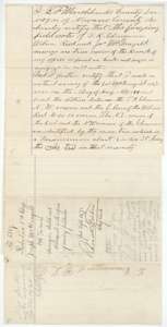 County surveyor B. F. Marchbanks's certificate that the copied field notes are true, and that his August 1878 survey found 59 varas between two neighboring surveys.